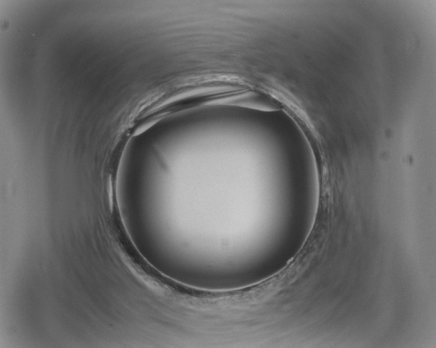 X0000078840013200611201325