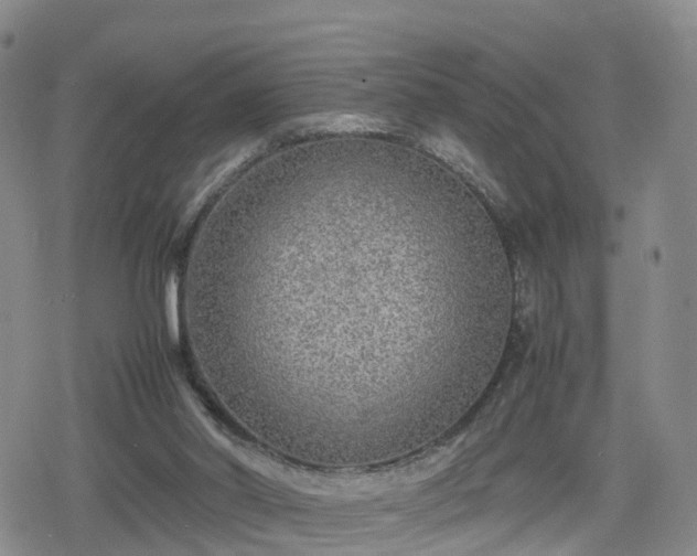 X0000078840014200611201325