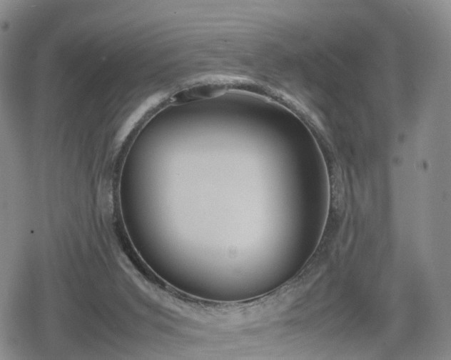 X0000078840015200611201325