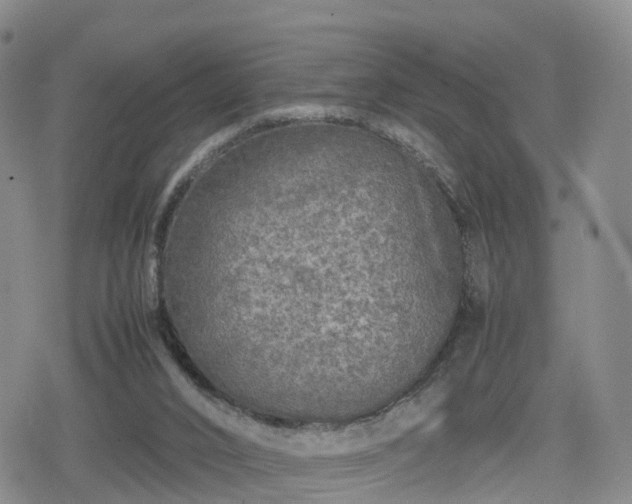 X0000078840016200611201325