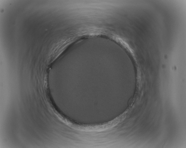 X0000078840017200611201325