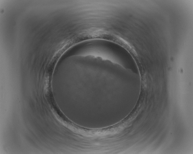 X0000078840018200611201325