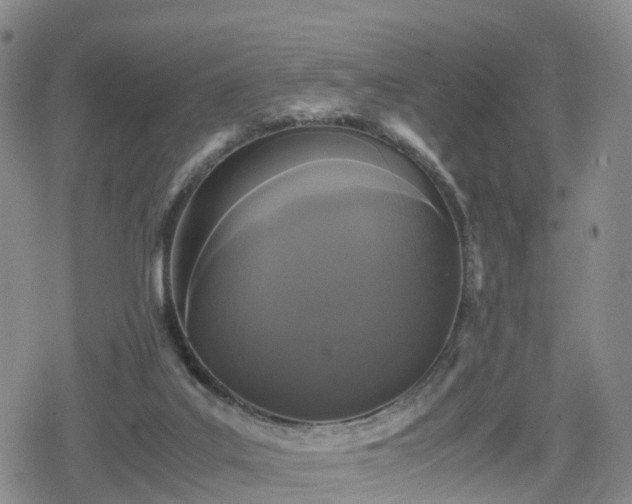 X0000078840019200611201325