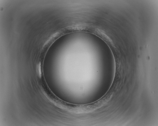 X0000078840020200611201325