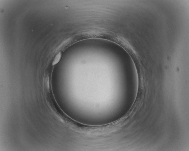 X0000078840021200611201325