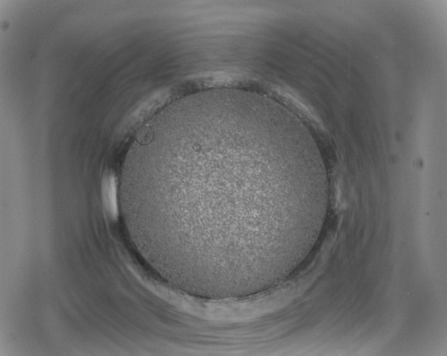 X0000078840022200611201325