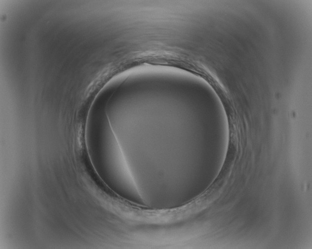 X0000078840023200611201325