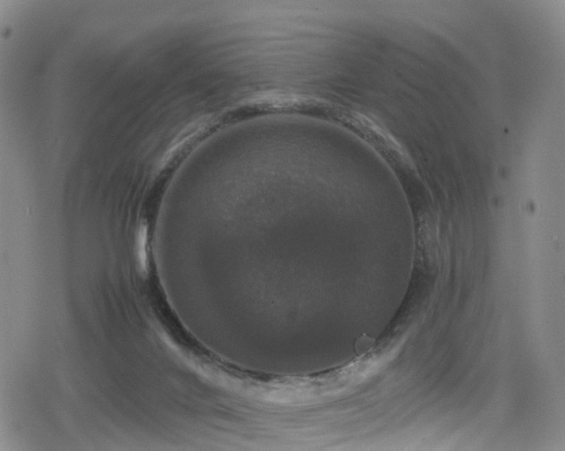 X0000078840024200611201325