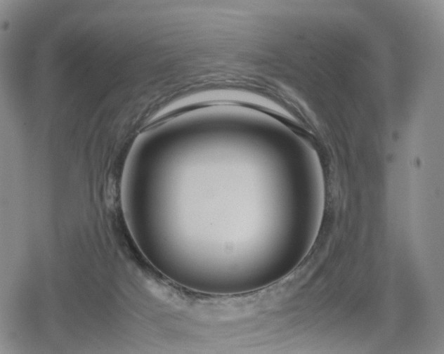 X0000078840025200611201325