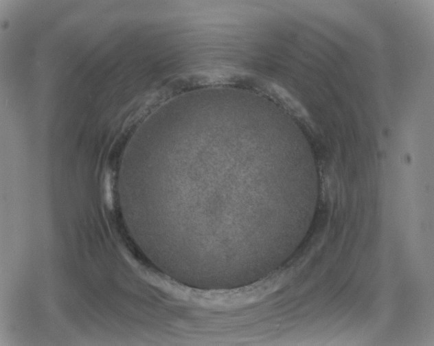 X0000078840026200611201325