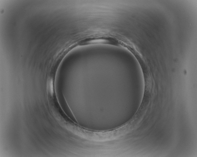 X0000078840027200611201324