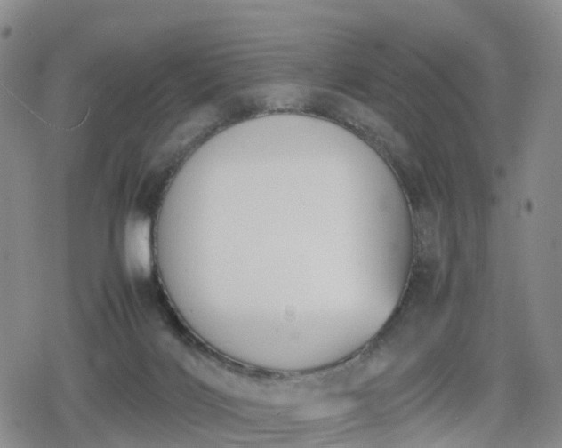 X0000078840028200611201324