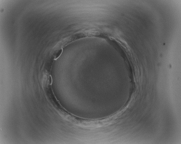 X0000078840029200611201324