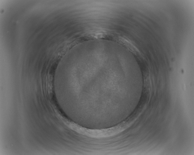 X0000078840030200611201324