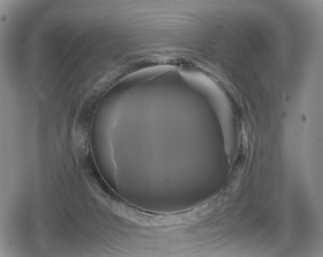 X0000078840031200611201324