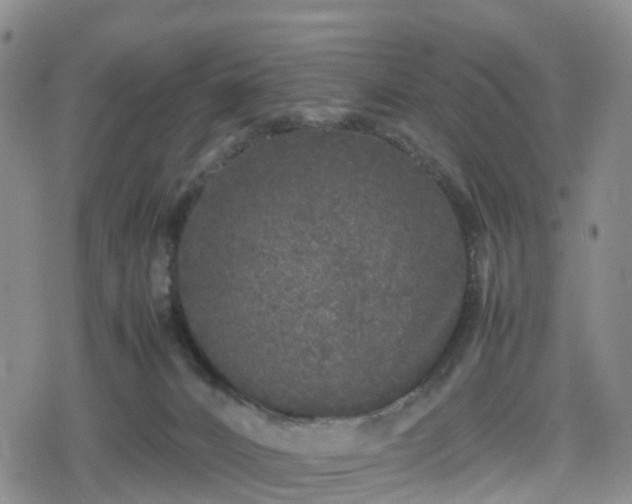 X0000078840032200611201324