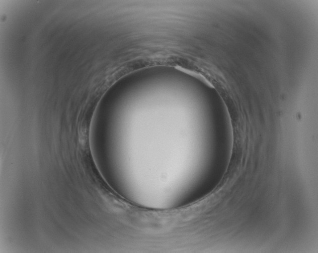 X0000078840033200611201324