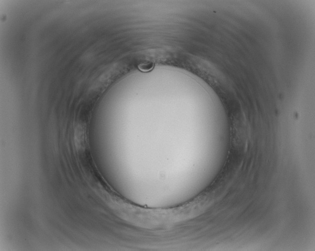 X0000078840034200611201324