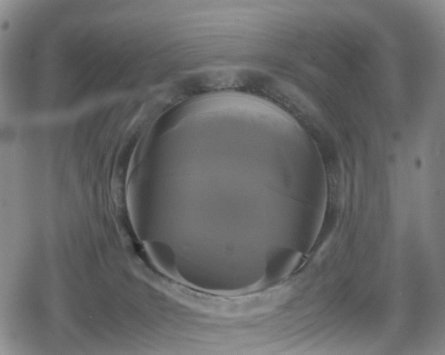 X0000078840035200611201324