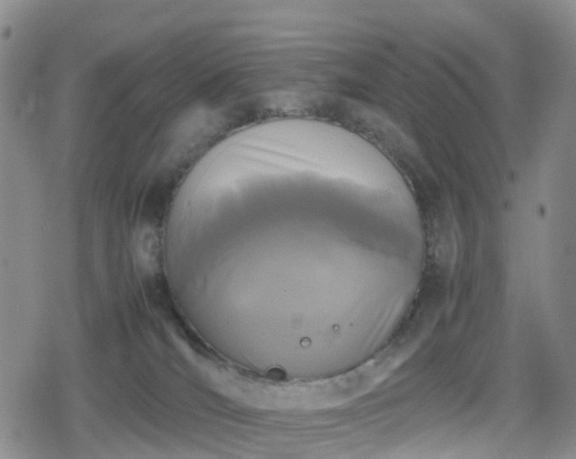 X0000078840036200611201324