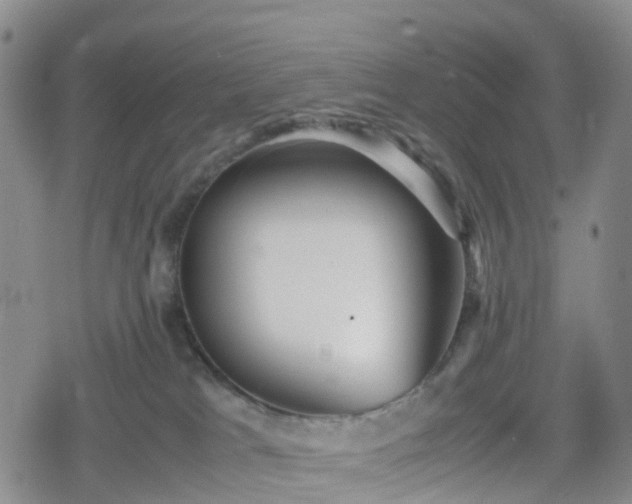 X0000078840037200611201324