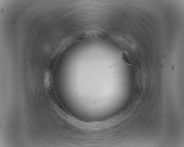 X0000078840038200611201324