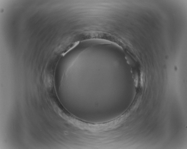 X0000078840039200611201324