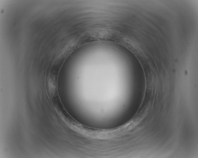 X0000078840040200611201324