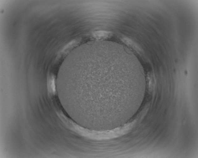 X0000078840042200611201324