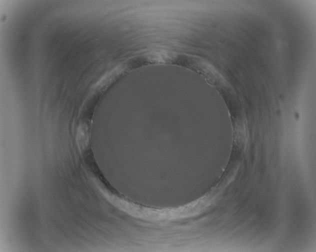 X0000078840043200611201324