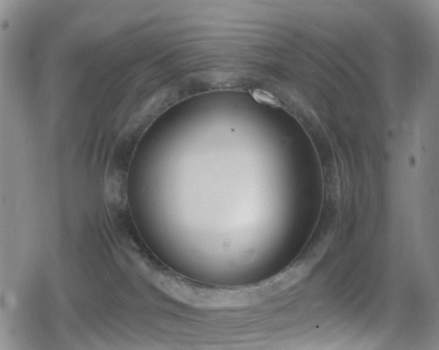 X0000078840044200611201324