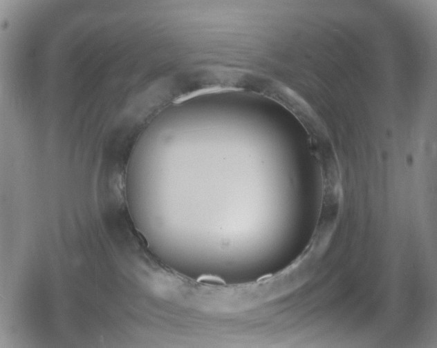 X0000078840045200611201324