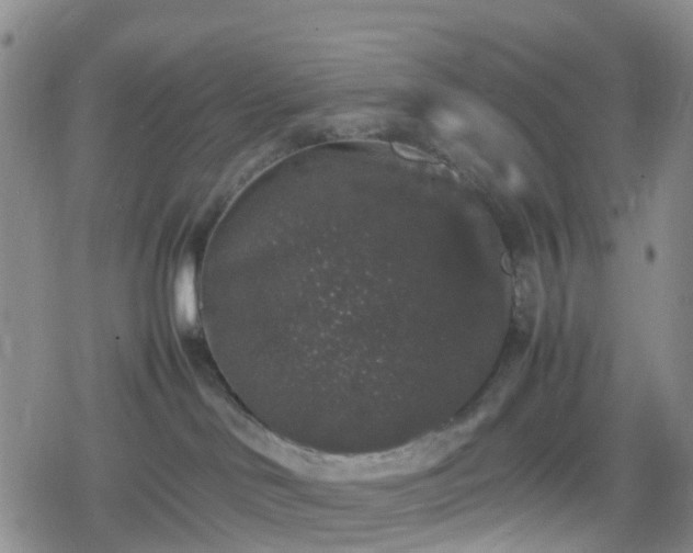 X0000078840046200611201324