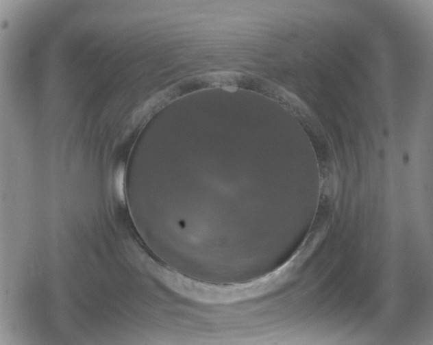 X0000078840047200611201324