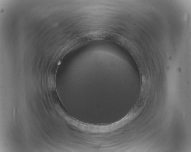 X0000078840048200611201324