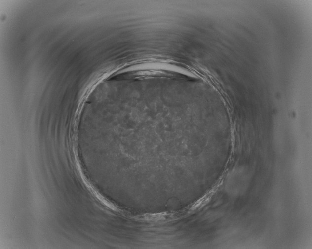 X0000078840049200611201323