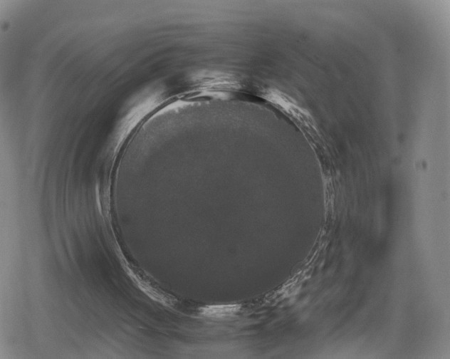 X0000078840051200611201323