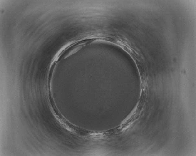 X0000078840052200611201323