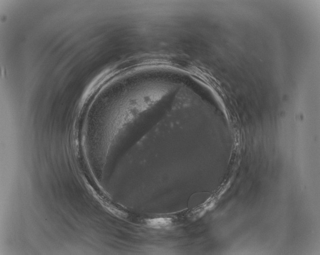 X0000078840053200611201323