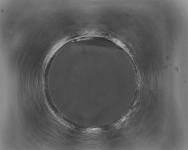 X0000078840055200611201323