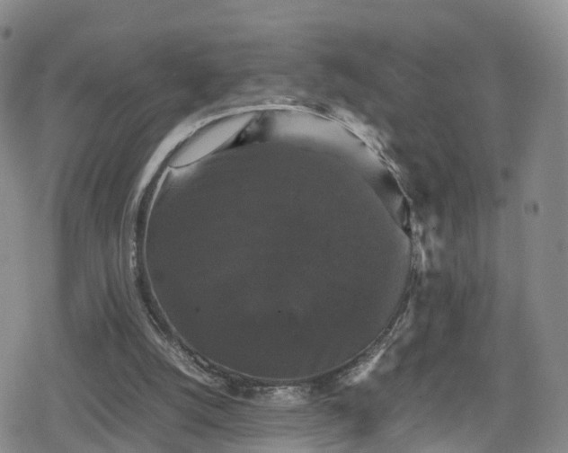 X0000078840056200611201323