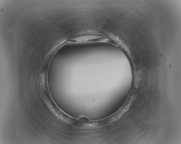 X0000078840057200611201323