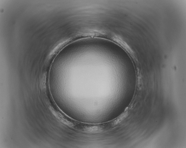 X0000078840058200611201323