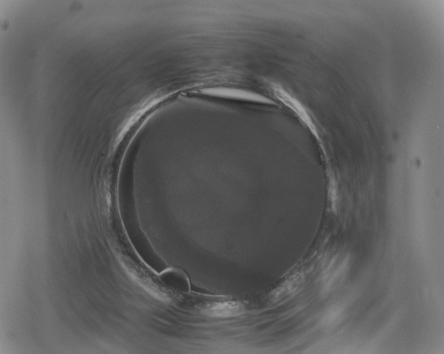 X0000078840059200611201324