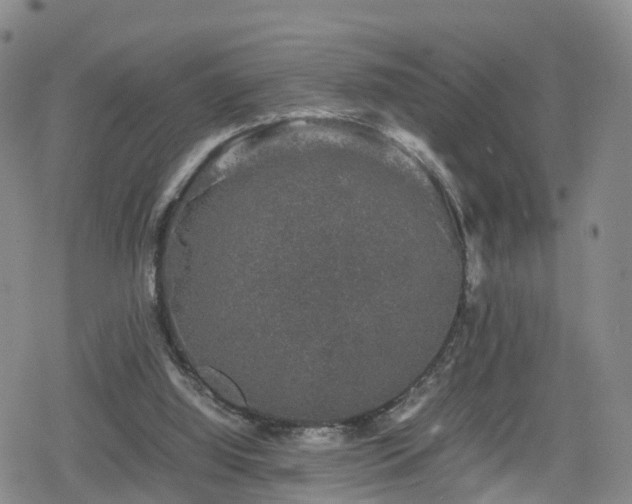 X0000078840060200611201324