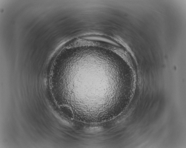 X0000078840063200611201324