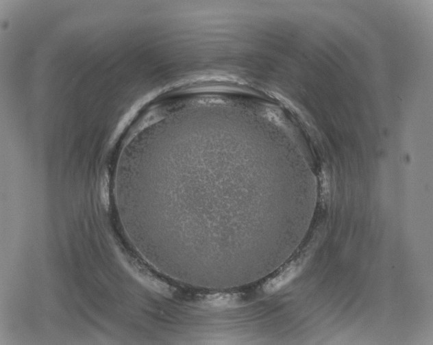 X0000078840064200611201324