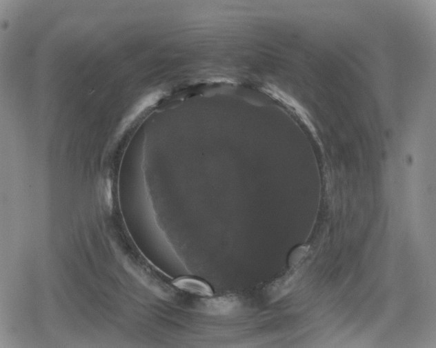 X0000078840067200611201324