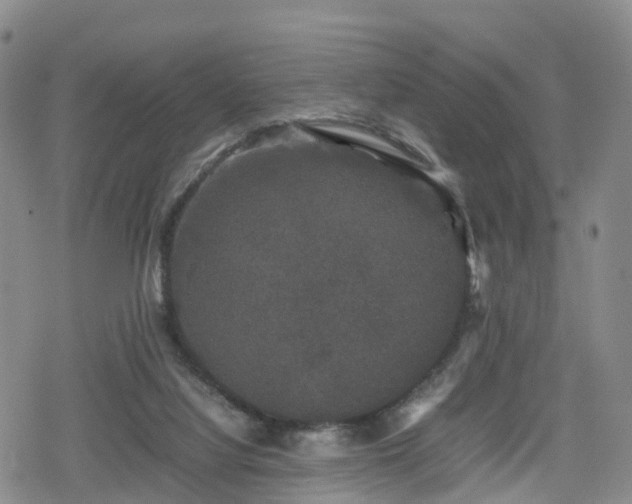 X0000078840068200611201324