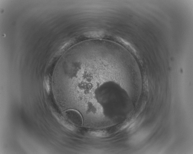 X0000078840069200611201324